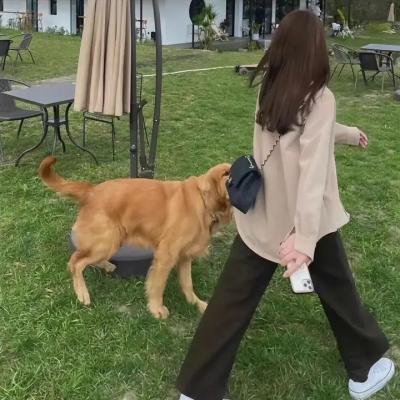极限审判